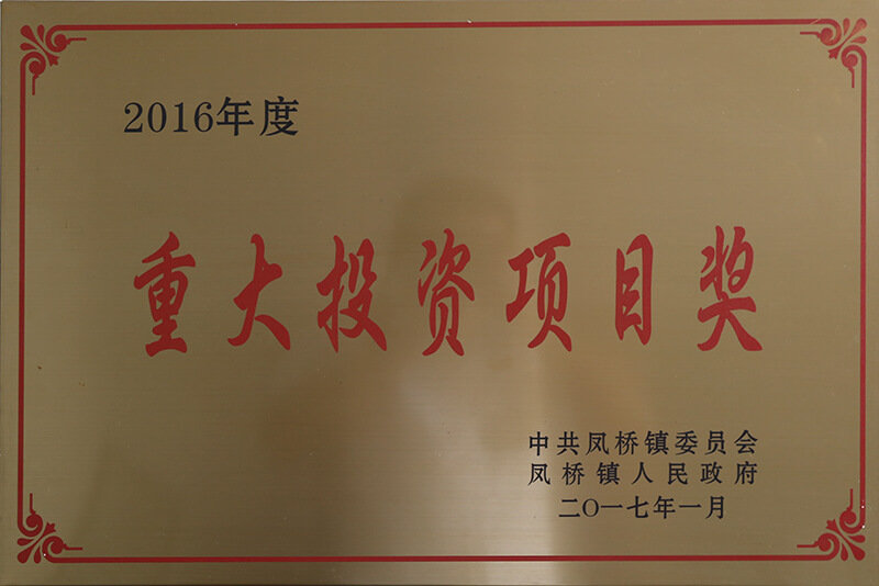 2016 Annual Major Project Investment Award